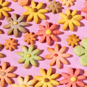 Butter Cookies